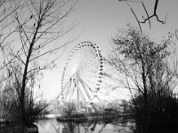 DSC01285