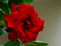 DSC02060