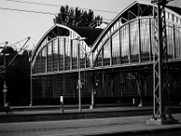 DSC00354